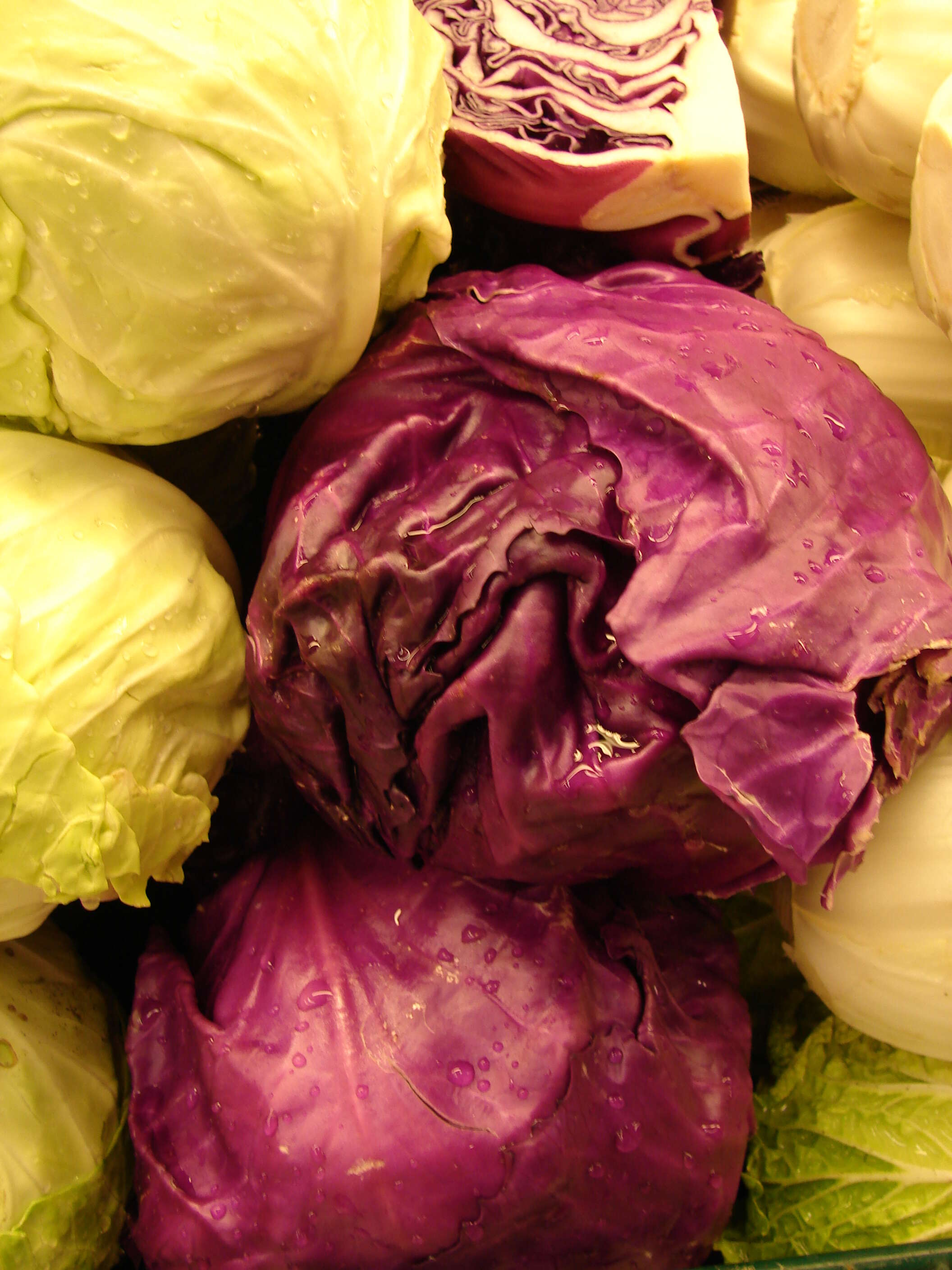 Image of white cabbage