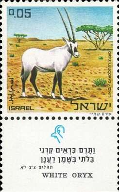 Image of Arabian Oryx