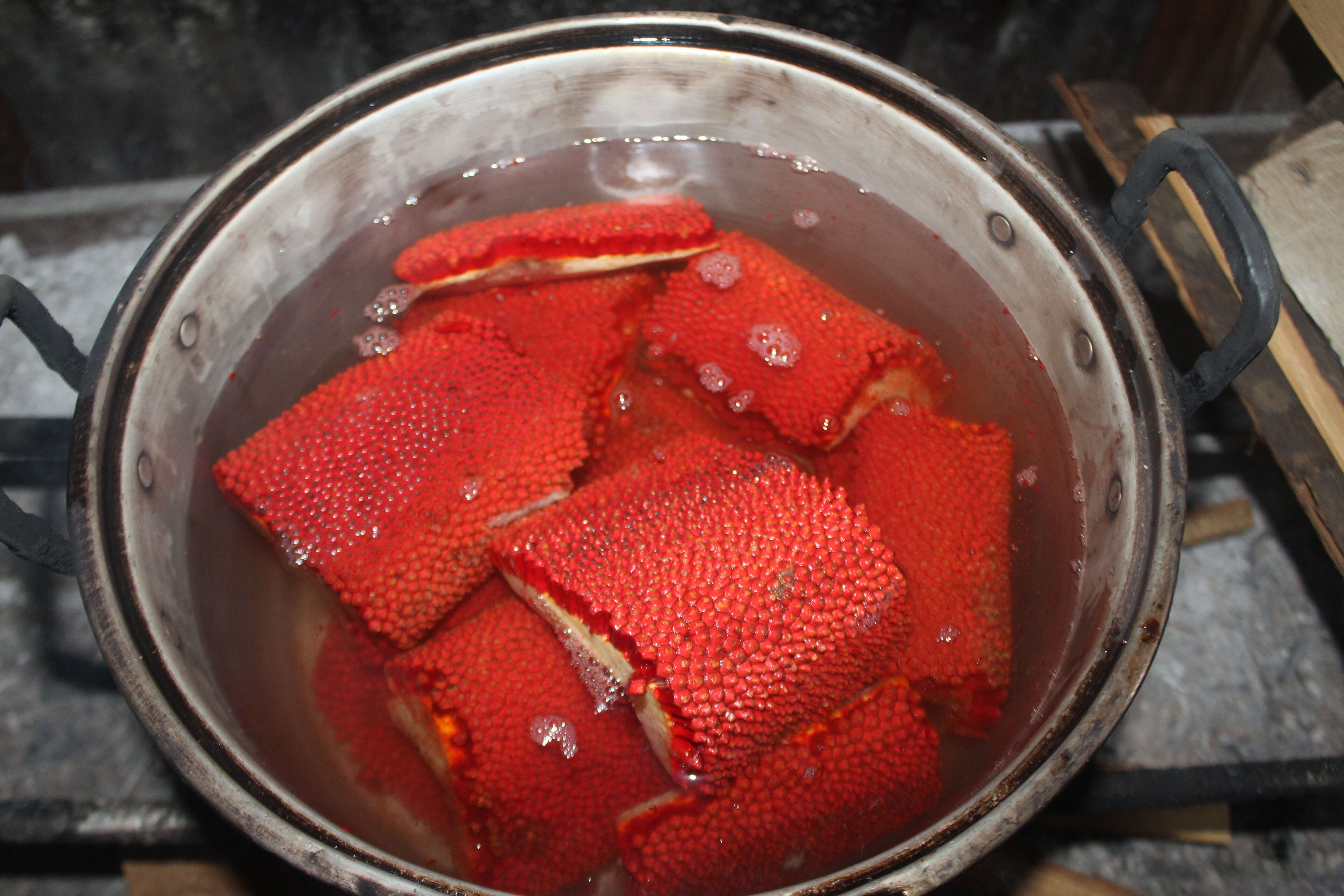 Image of red fruit