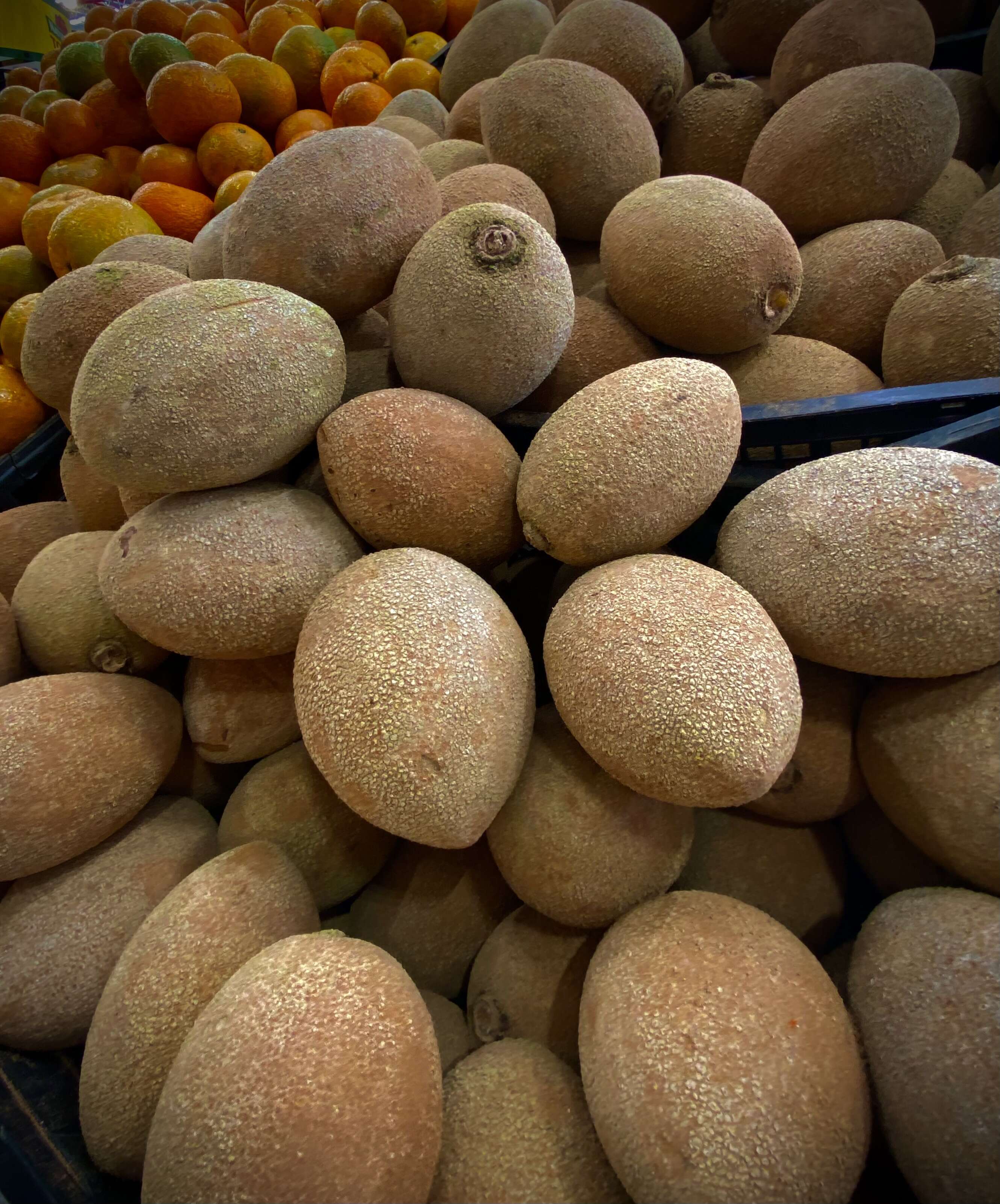 Image of mammee sapote