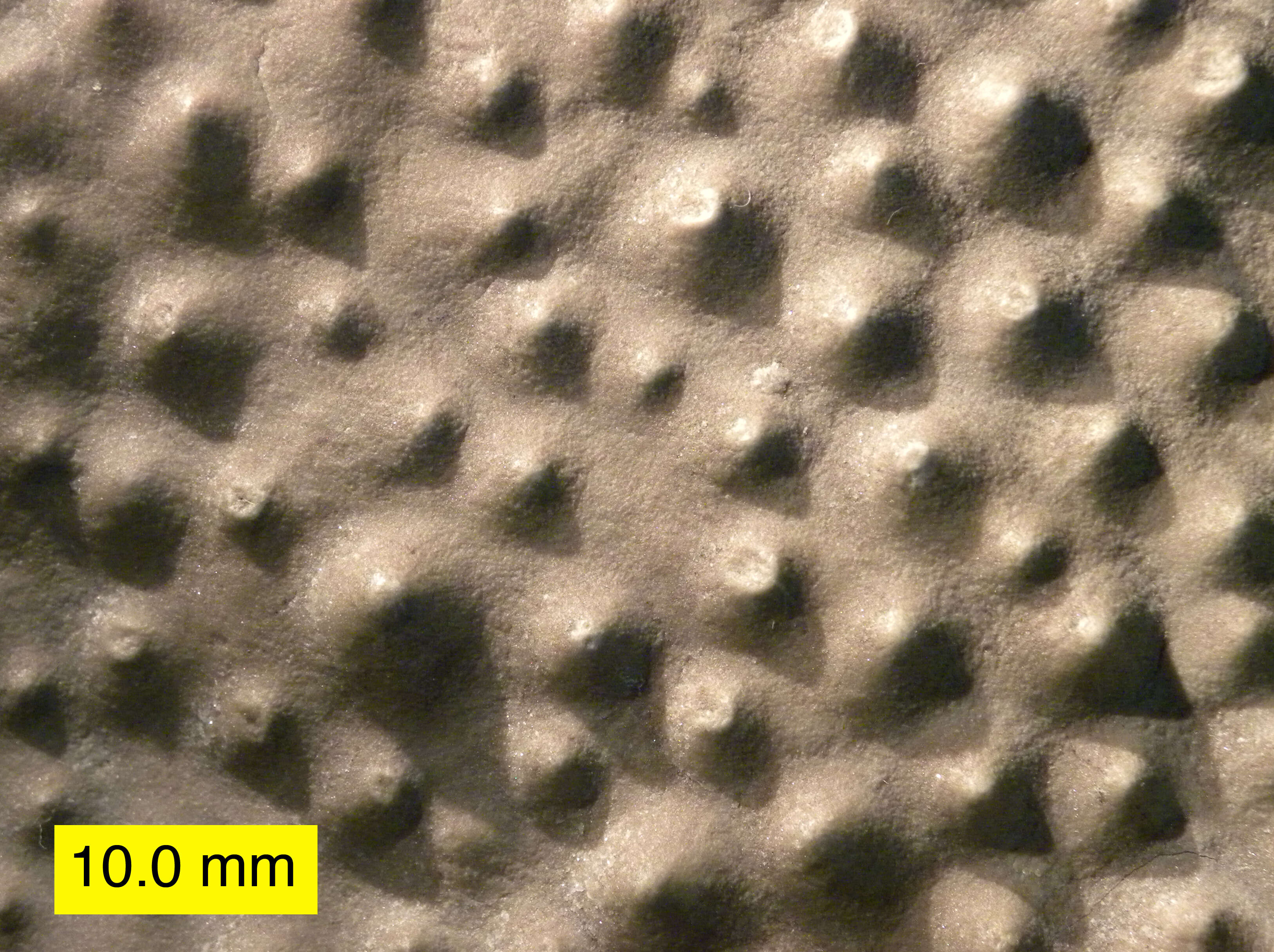 Image of Stromatoporoidea