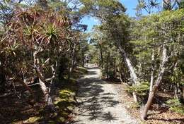 Image of mountain neinei