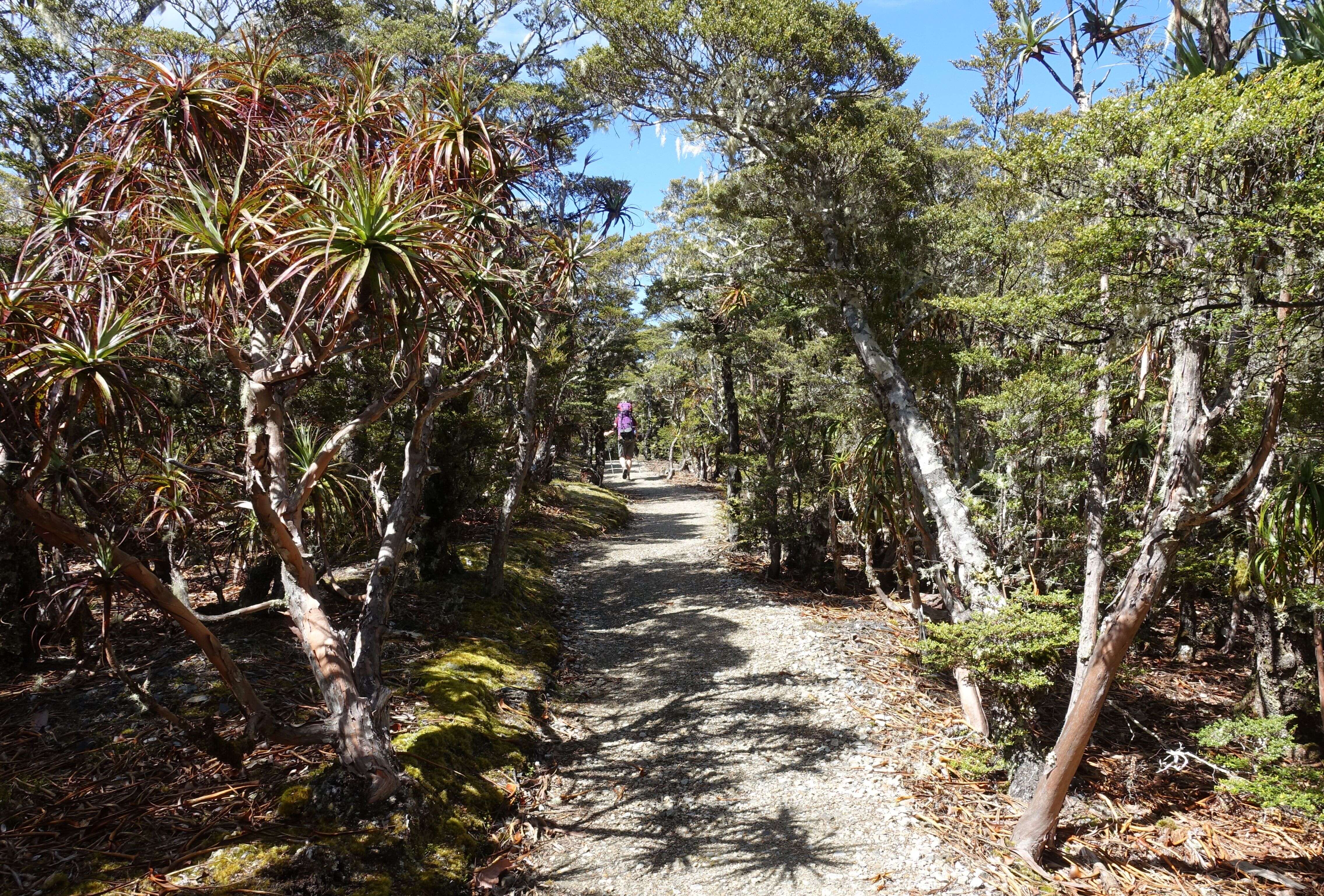 Image of mountain neinei