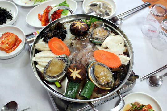 Image of giant abalone