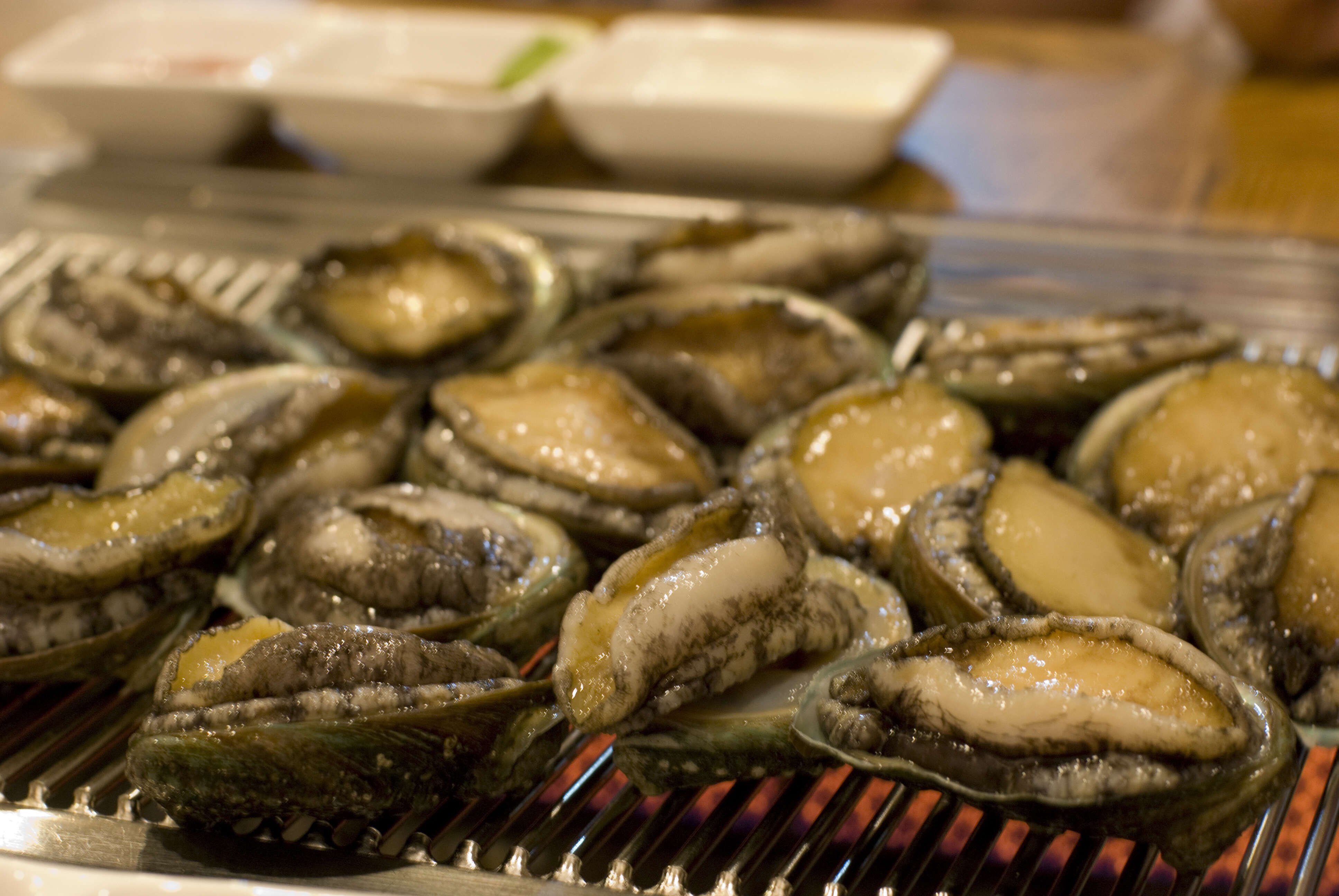 Image of giant abalone