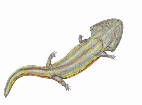 Image of Chigutisauridae