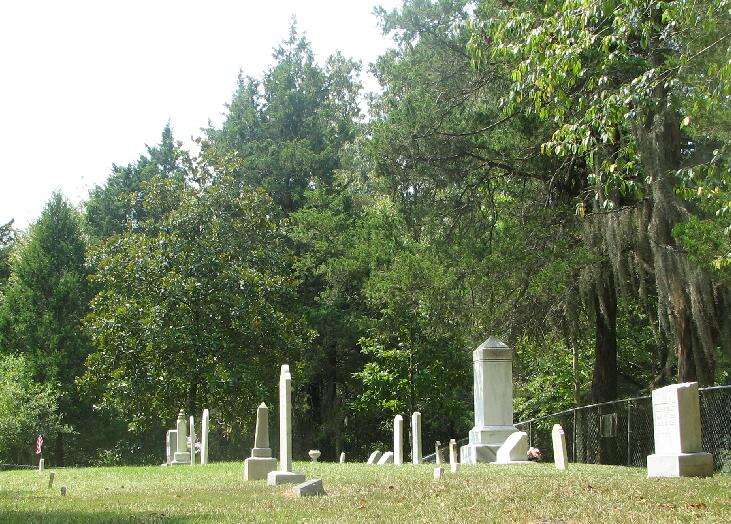 Image of Spanish moss