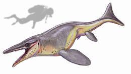 Image of Mosasaurinae