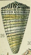 Image of lettered cone