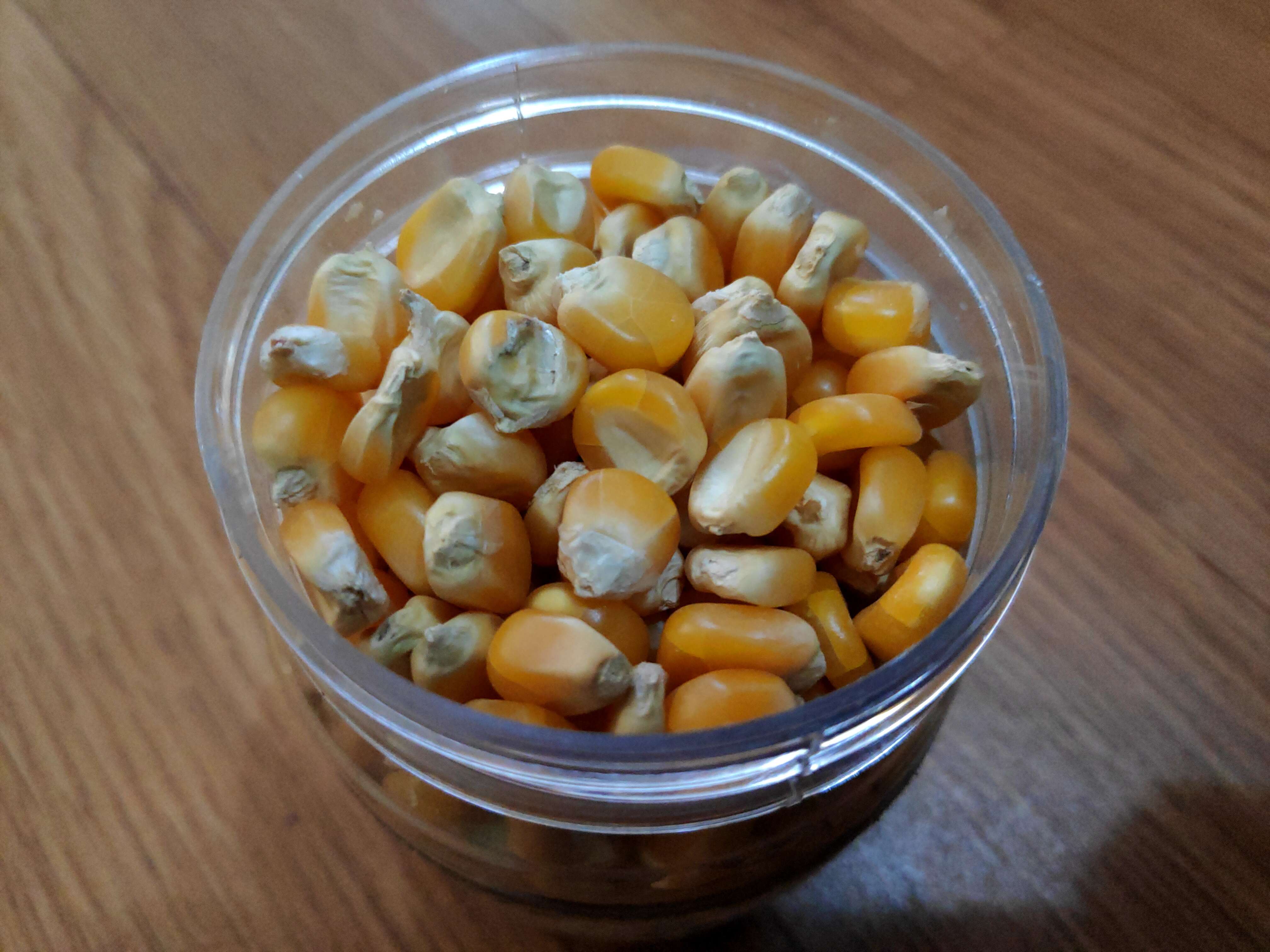 Image of corn