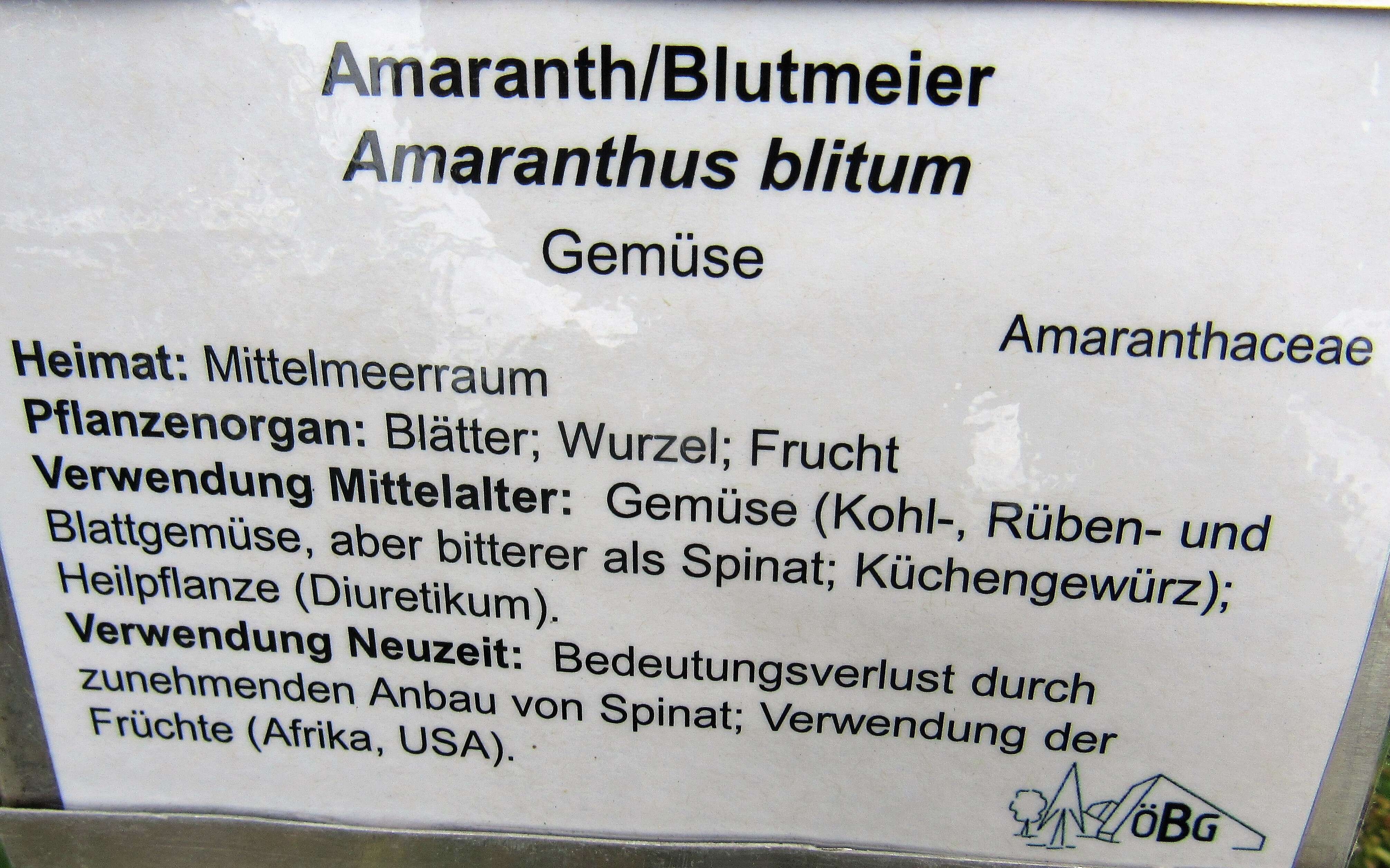 Image of least amaranth