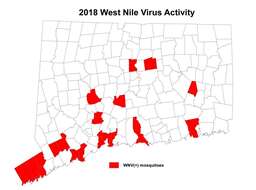 Image of West Nile virus