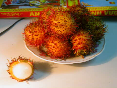 Image of rambutan