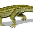 Peirosauridae resmi