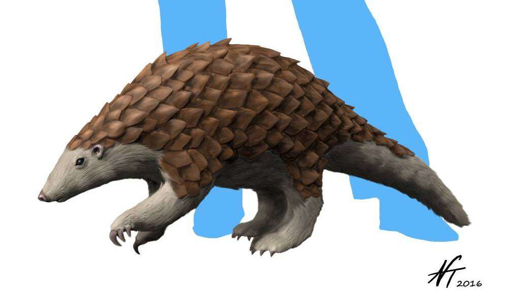 Image de Grand pangolin de l'Inde