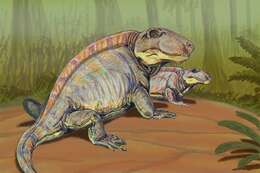 Image of Sphenacodon