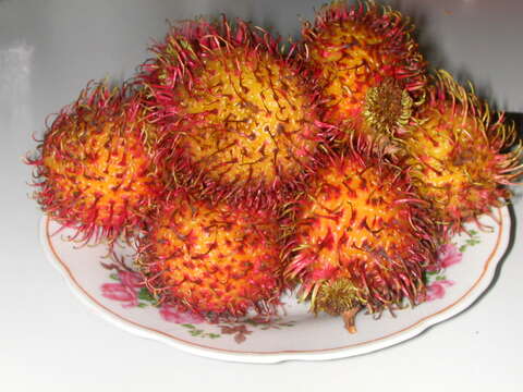 Image of rambutan