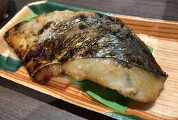 Image of Japanese Seerfish