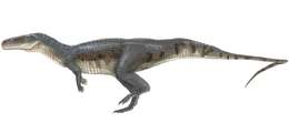 Image of unclassified Archosauria