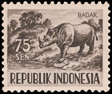 Image of Javan One-horned Rhinoceros