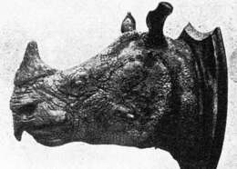 Image of Rhinoceros sondaicus annamiticus Heude 1892