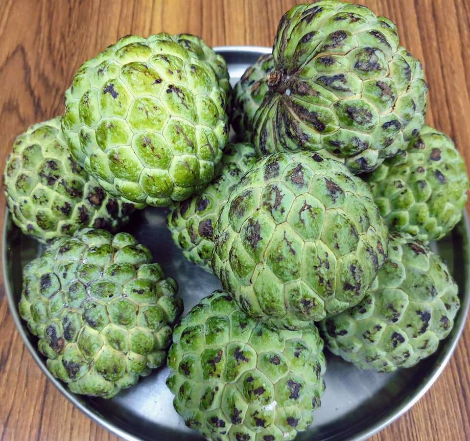 Image of custard apple