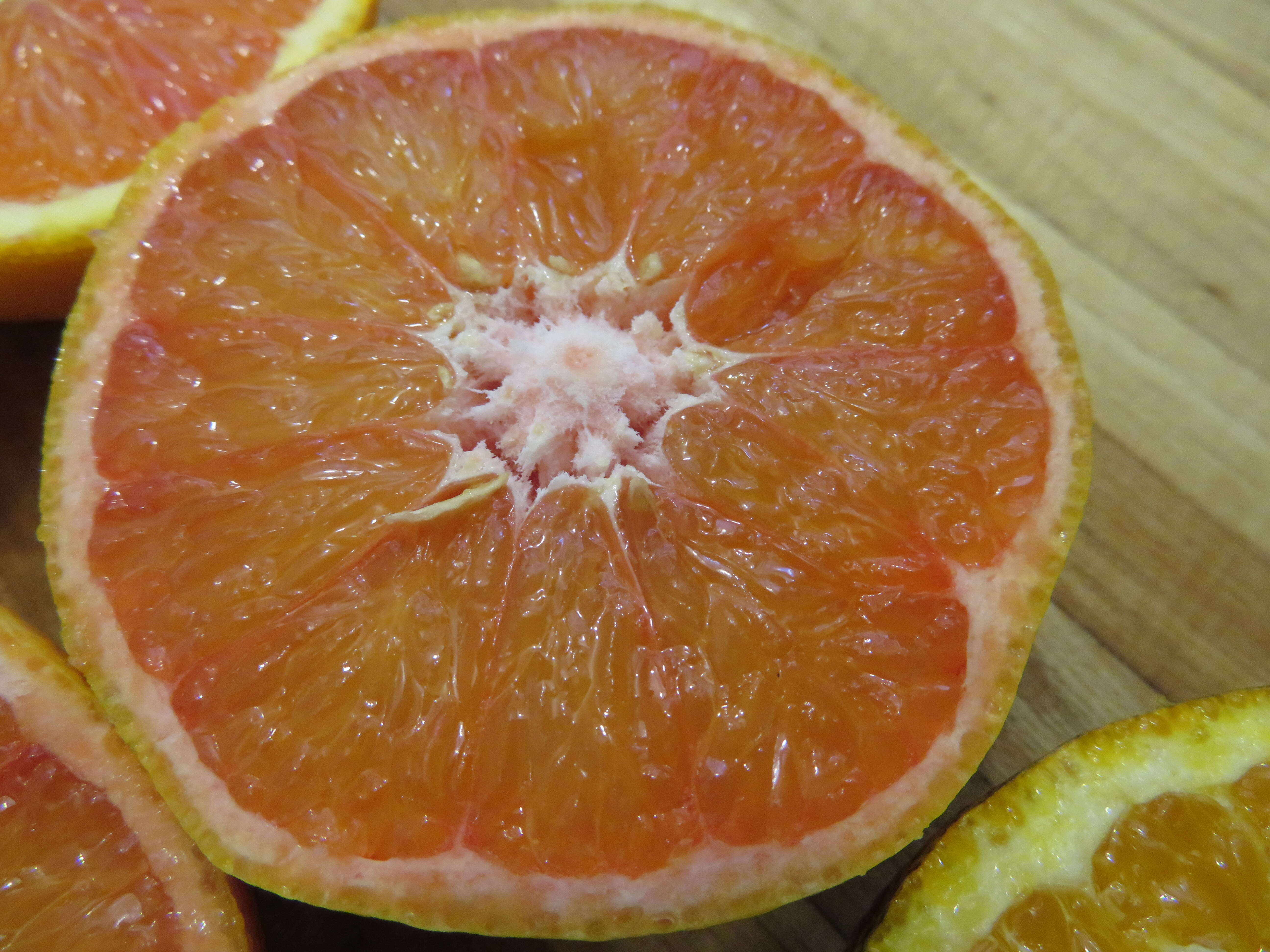 Image of Citrus × sinensis