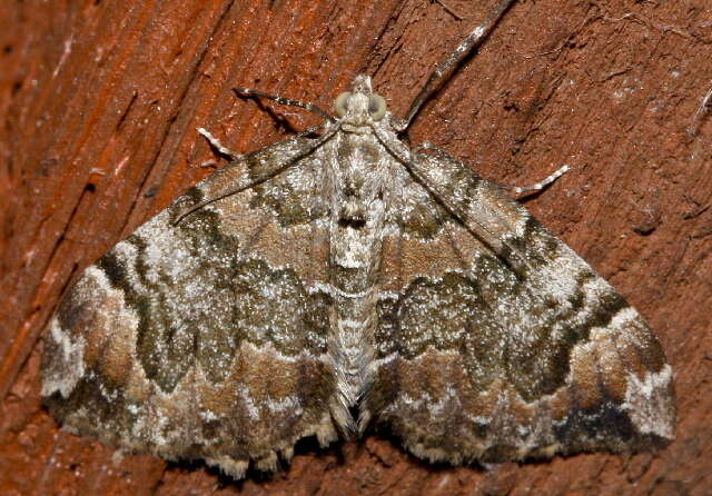 Image of Dark Marbled Carpet