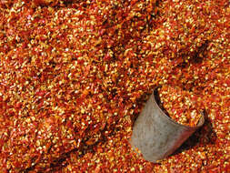 Image of cayenne pepper