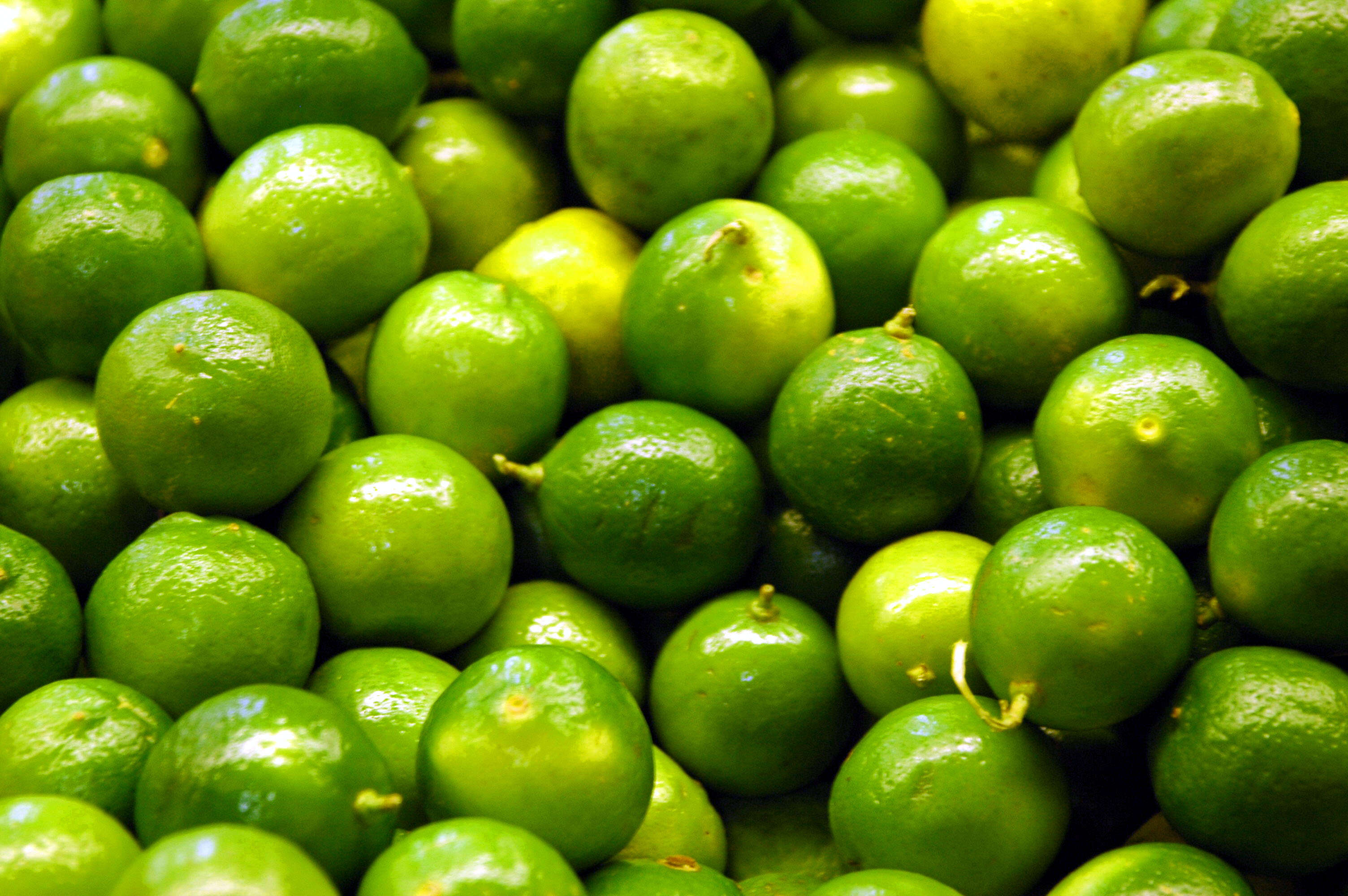 Image of Persian lime