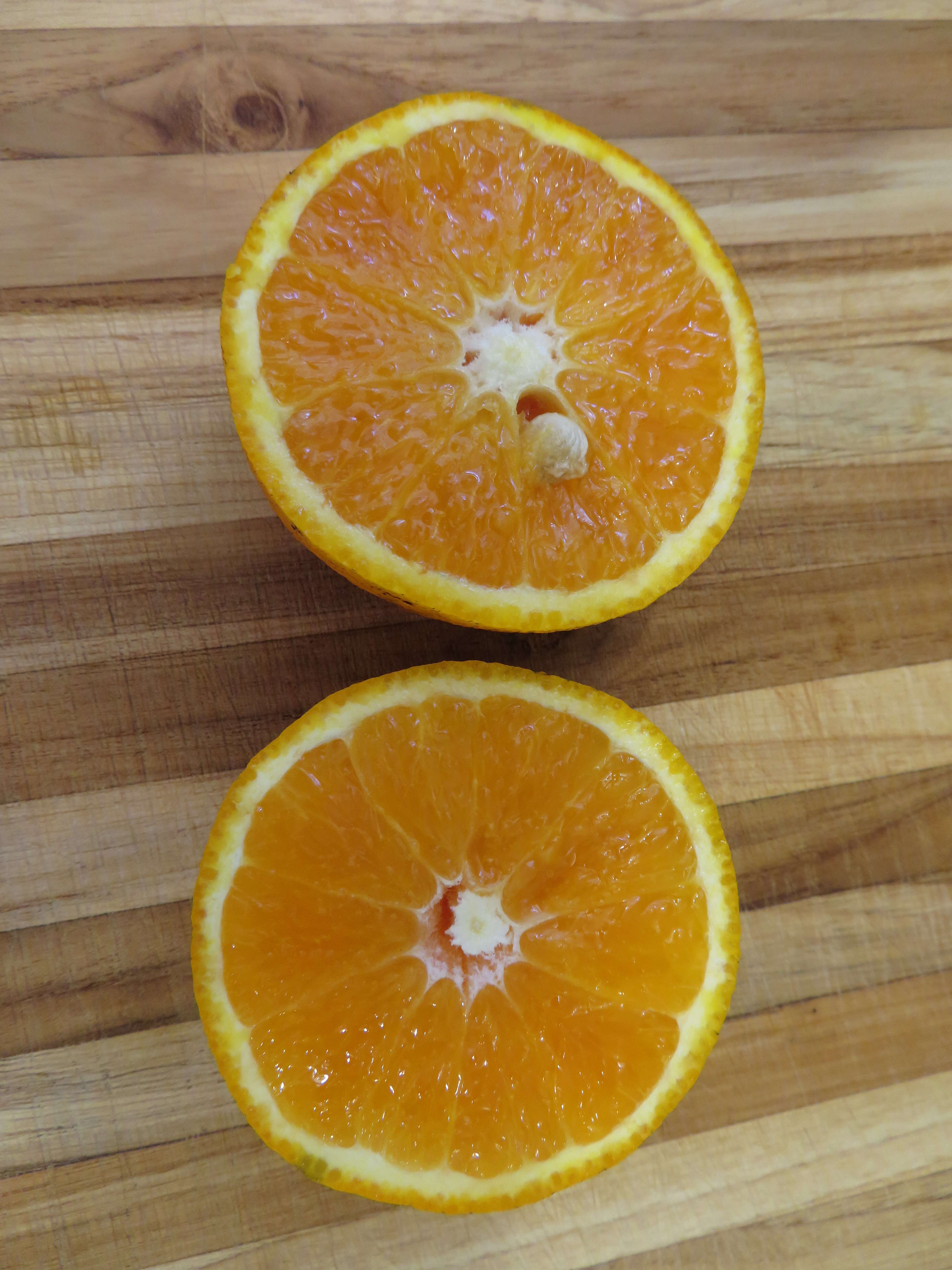 Image of Citrus × sinensis