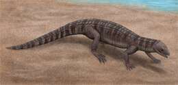 Image of Atoposauridae