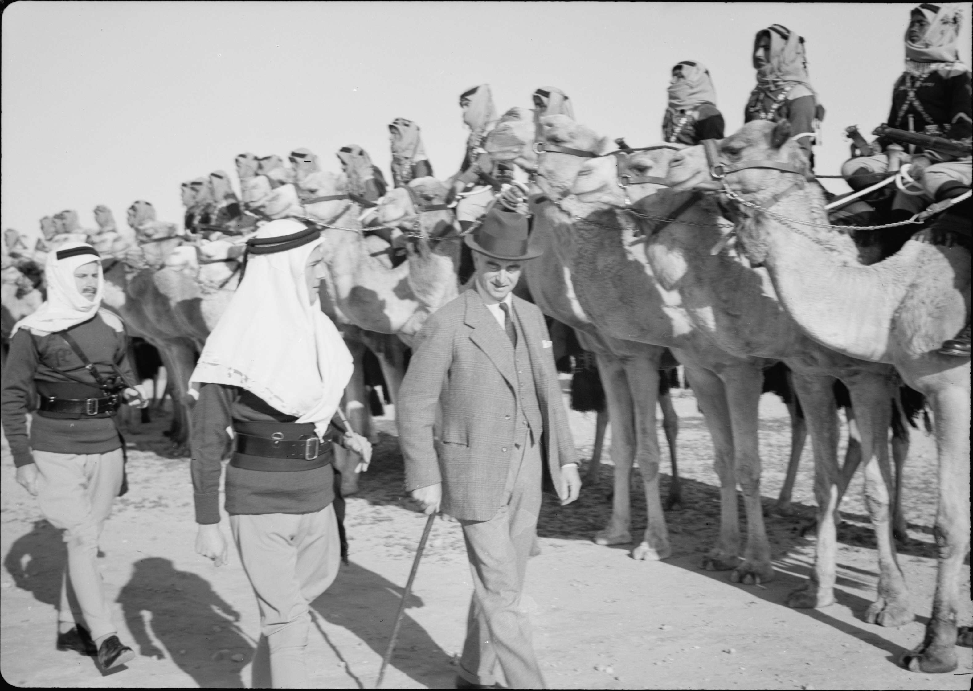 Image of camels