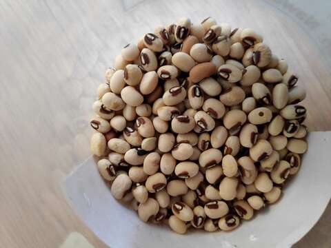 Image of blackeyed pea