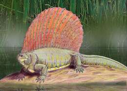 Image of Edaphosauridae