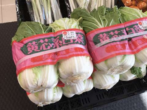 Image of Napa cabbage