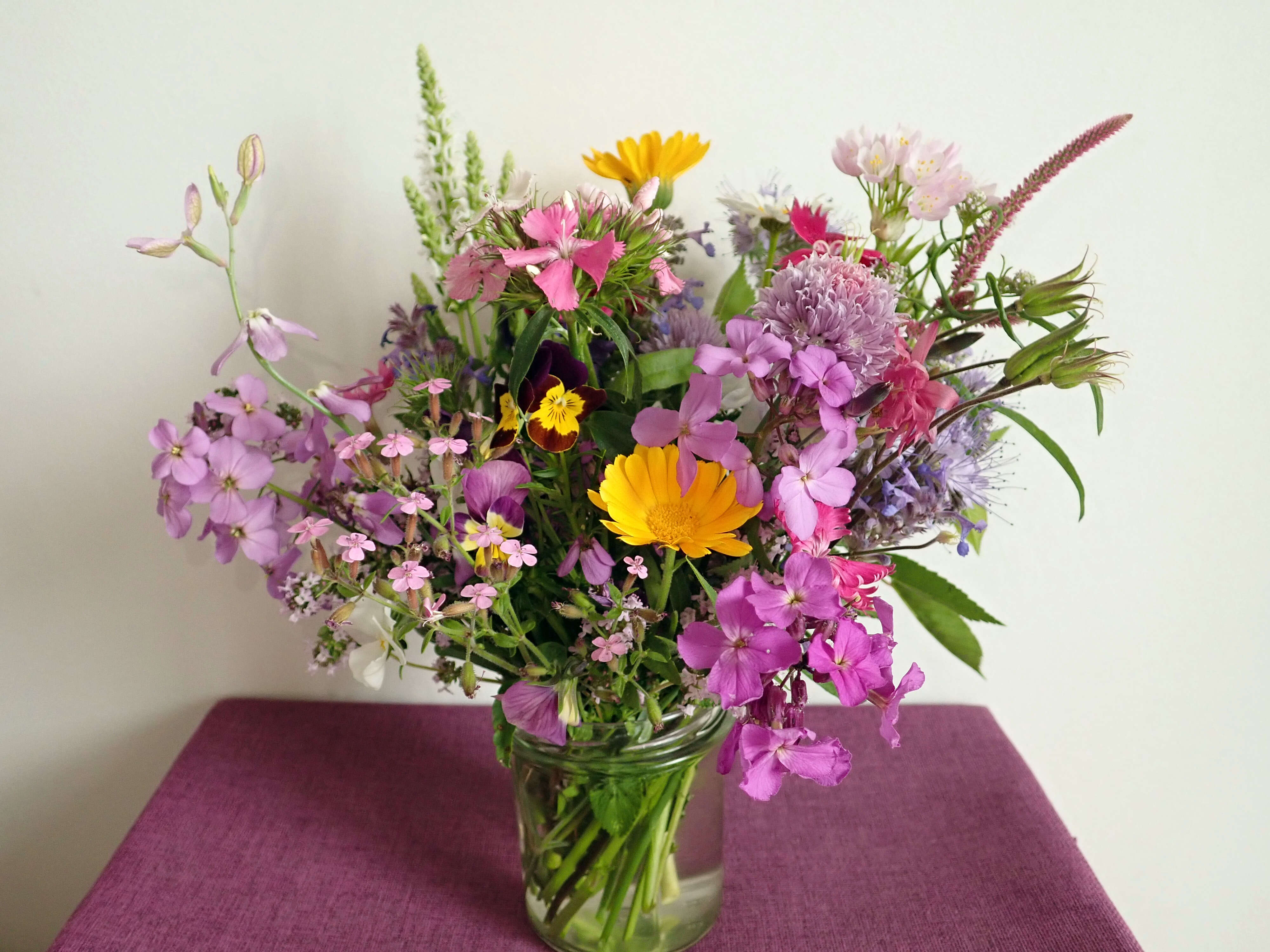 Image of pot marigold