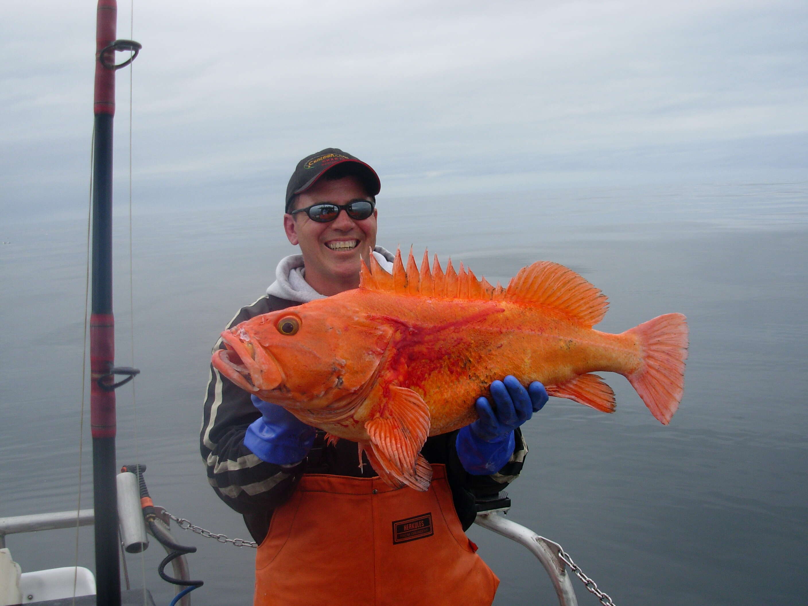 Image of Yelloweye rockfish