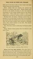 Lithobates sylvaticus (Le Conte 1825) resmi