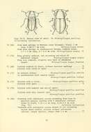 Image of Oulimnius latiusculus (Le Conte 1866)