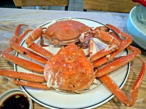 Image of Snow Crab