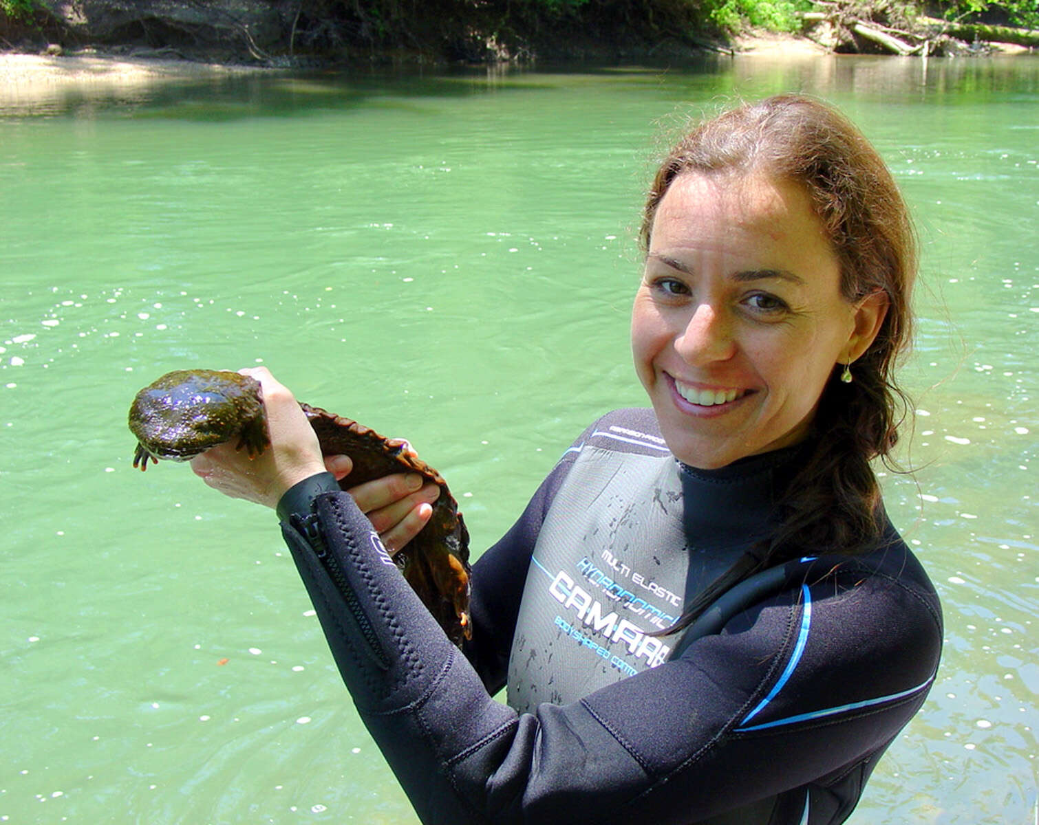 Image of Cryptobranchus alleganiensis