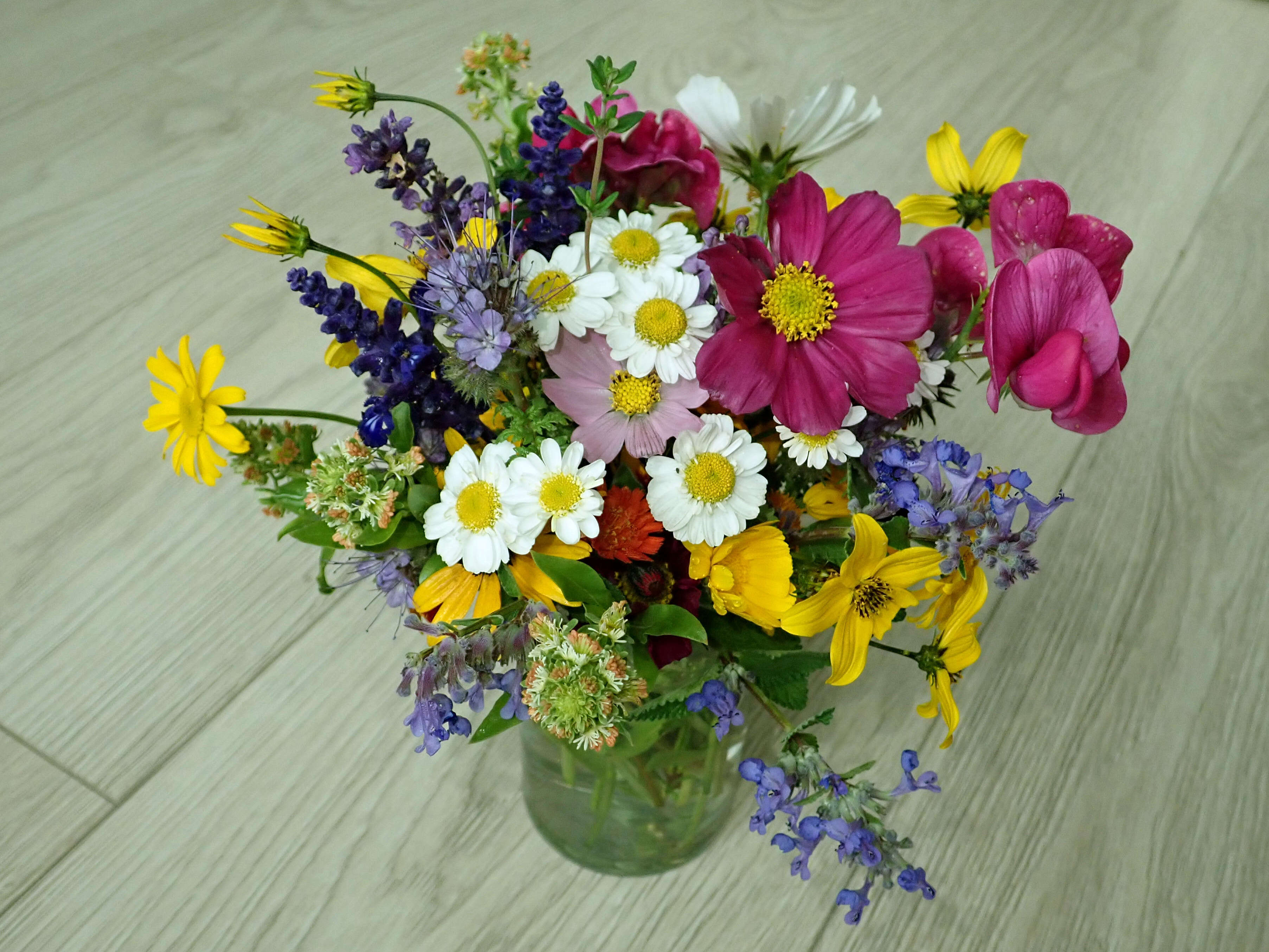 Image of pot marigold