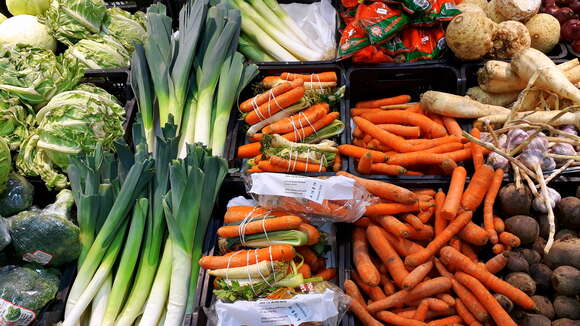 Image of sprouting broccoli