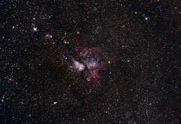 Image of Isonebula Taberner 1977