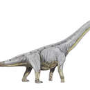 Image of Argyrosauridae