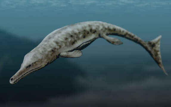 Image of Crocodilia