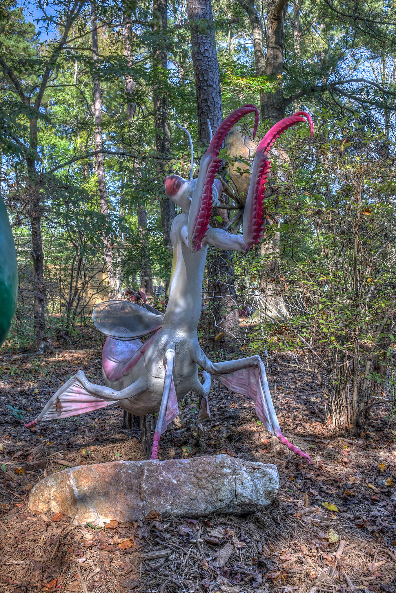 Image of Orchid mantis