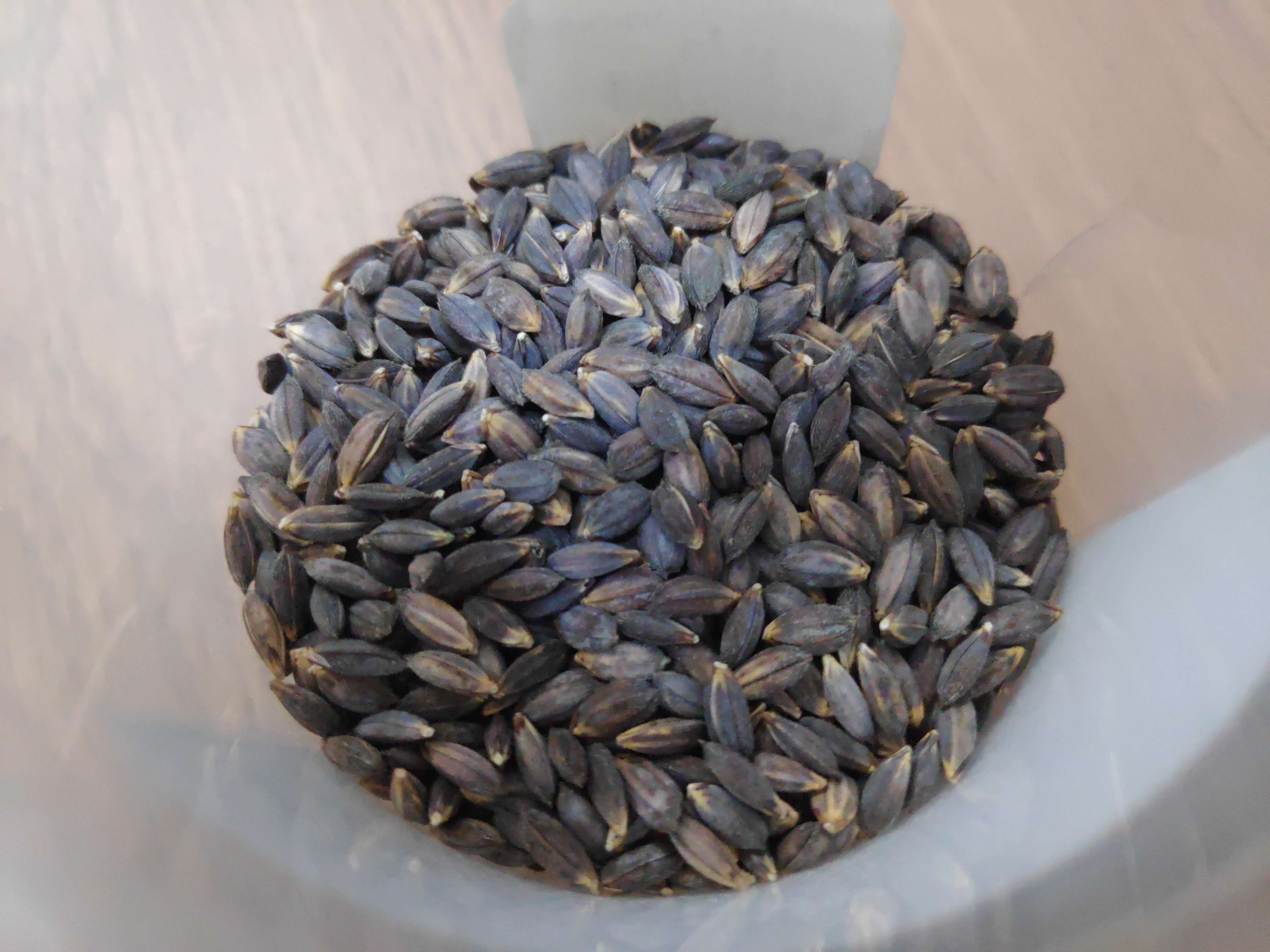 Image of rice