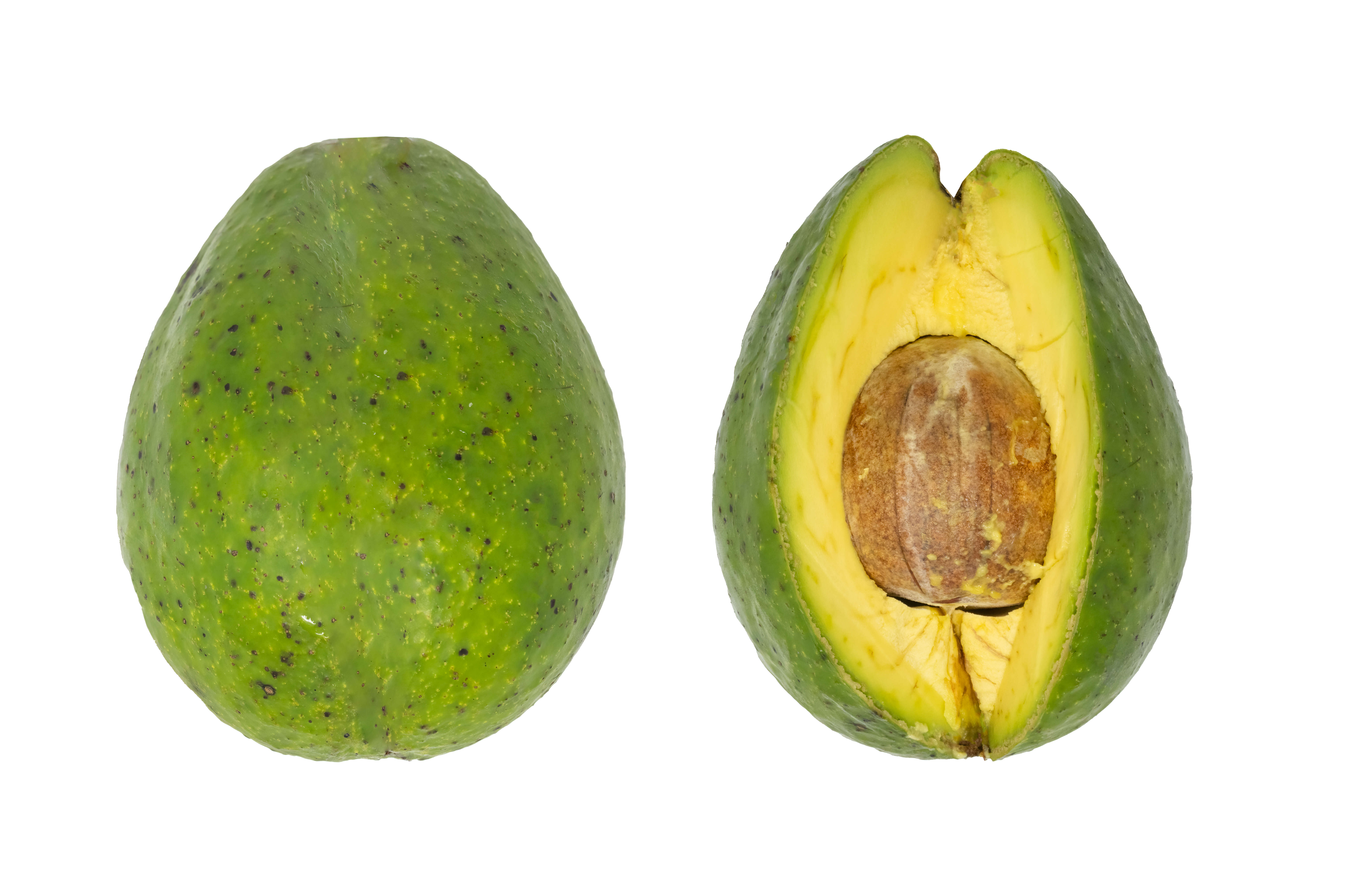 Image of avocado